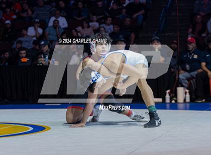 Thumbnail 3 in CIF Boys State Wrestling Championships (Finals) photogallery.