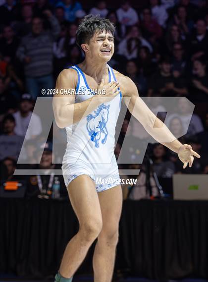 Thumbnail 3 in CIF Boys State Wrestling Championships (Finals) photogallery.