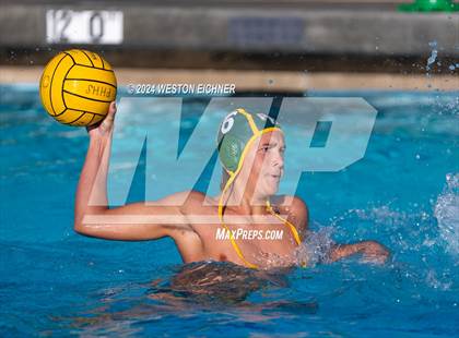 Thumbnail 3 in Grossmont @ Patrick Henry photogallery.