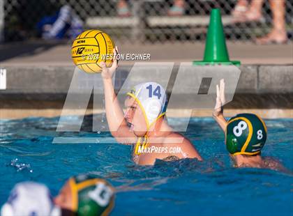 Thumbnail 2 in Grossmont @ Patrick Henry photogallery.