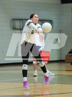 Photo from the gallery "D.H. Conley @ Havelock"