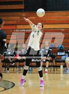 Photo from the gallery "D.H. Conley @ Havelock"