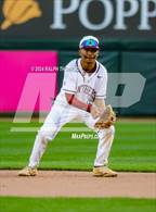 Photo from the gallery "Rosemont @ Florin"