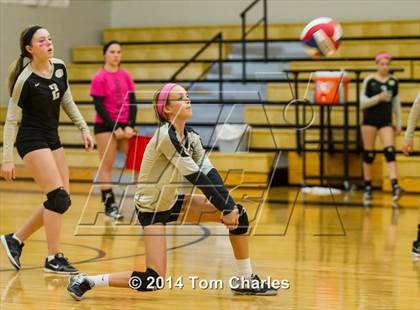 Thumbnail 2 in Farmersville @ Whitewright photogallery.