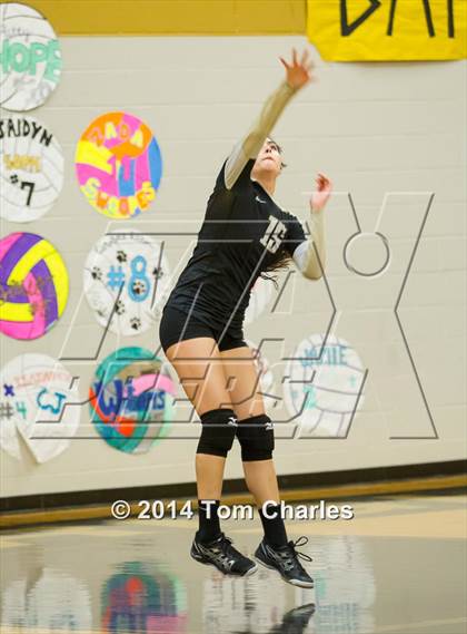 Thumbnail 2 in Farmersville @ Whitewright photogallery.