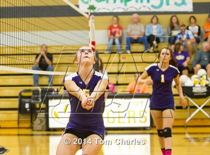Thumbnail 2 in Farmersville @ Whitewright photogallery.