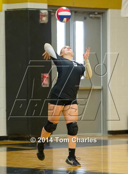 Thumbnail 2 in Farmersville @ Whitewright photogallery.