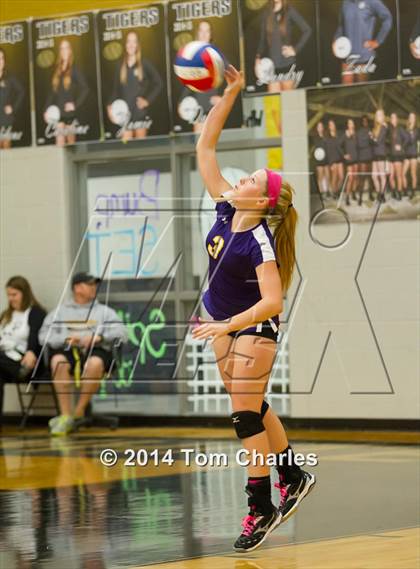 Thumbnail 3 in Farmersville @ Whitewright photogallery.
