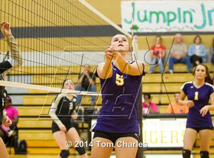 Thumbnail 1 in Farmersville @ Whitewright photogallery.