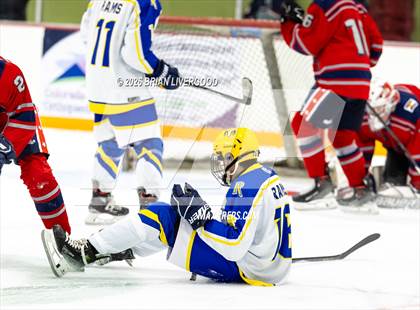 Thumbnail 3 in Liberty @ Rampart photogallery.