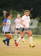 Photo from the gallery "Loudon @ Bledsoe County"