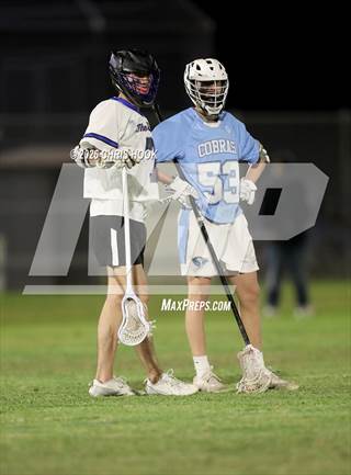 Cactus @ Catalina Foothills