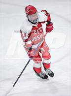 Photo from the gallery "Poudre School District vs. Regis Jesuit (CHSAA 5A Semi-Final)"