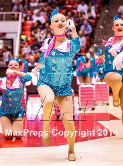 Thumbnail 1 in Pleasant Grove vs Lone Peak (UHSAA 5A Final) photogallery.