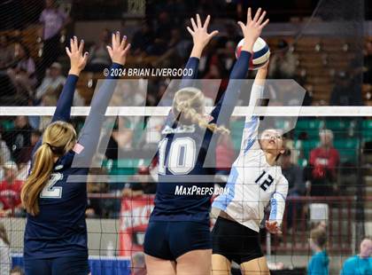Thumbnail 3 in Pueblo West vs. Pine Creek (CHSAA 5A Round 2) photogallery.