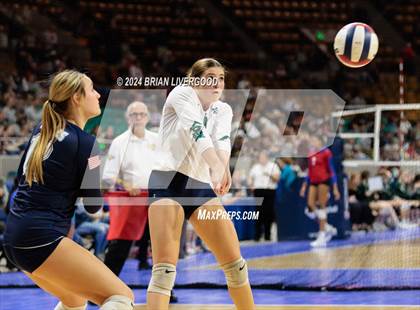 Thumbnail 3 in Pueblo West vs. Pine Creek (CHSAA 5A Round 2) photogallery.