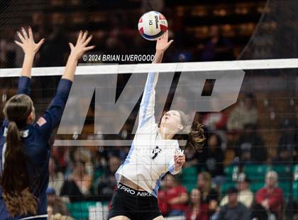 Thumbnail 1 in Pueblo West vs. Pine Creek (CHSAA 5A Round 2) photogallery.