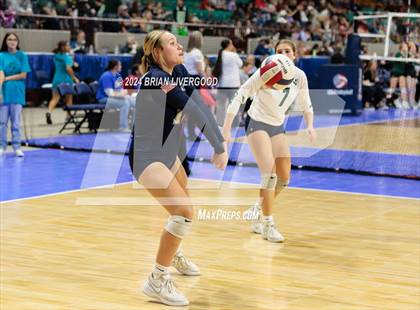 Thumbnail 1 in Pueblo West vs. Pine Creek (CHSAA 5A Round 2) photogallery.