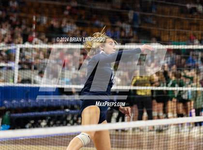 Thumbnail 1 in Pueblo West vs. Pine Creek (CHSAA 5A Round 2) photogallery.
