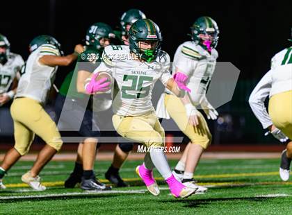 Thumbnail 1 in Skyline @ Campo Verde photogallery.