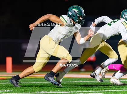 Thumbnail 1 in Skyline @ Campo Verde photogallery.