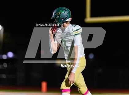 Thumbnail 3 in Skyline @ Campo Verde photogallery.