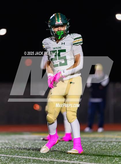 Thumbnail 1 in Skyline @ Campo Verde photogallery.