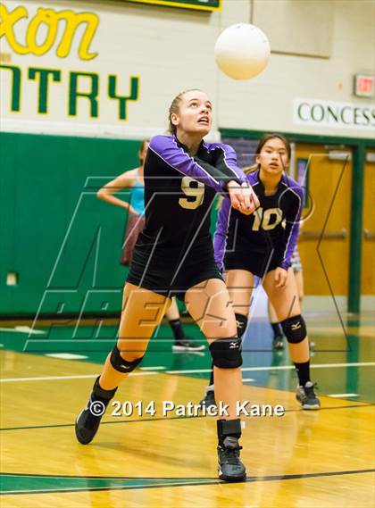Thumbnail 2 in Potomac Falls @ Langley photogallery.