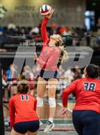 Photo from the gallery "Woods Cross vs. Springville (UHSAA 5A 2nd Round)"