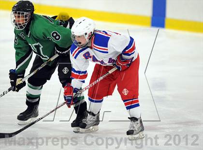 Thumbnail 3 in Yorktown @ Carmel photogallery.