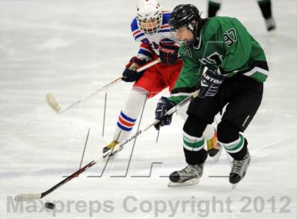 Thumbnail 3 in Yorktown @ Carmel photogallery.