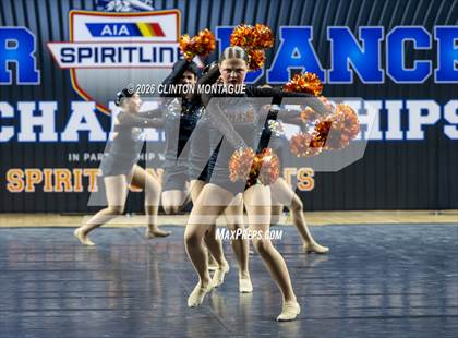 Thumbnail 1 in Globe (AIA Division IV Final) photogallery.