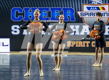 Thumbnail 1 in Globe (AIA Division IV Final) photogallery.