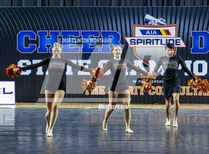 Thumbnail 1 in Globe (AIA Division IV Final) photogallery.