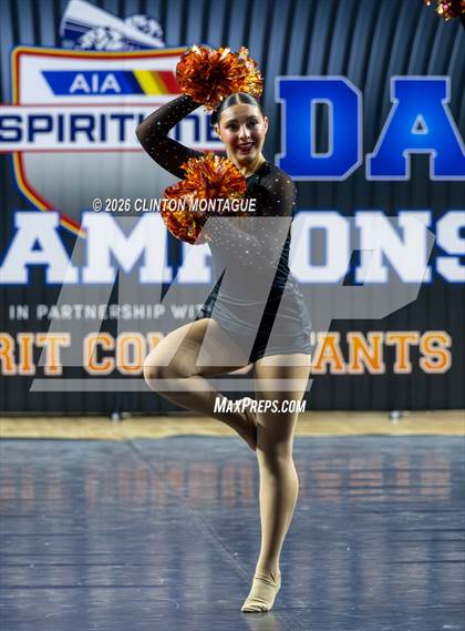 Thumbnail 1 in Globe (AIA Division IV Final) photogallery.