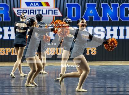 Thumbnail 2 in Globe (AIA Division IV Final) photogallery.