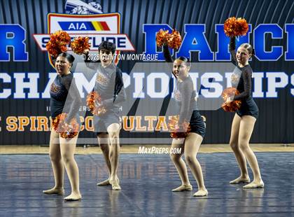 Thumbnail 1 in Globe (AIA Division IV Final) photogallery.