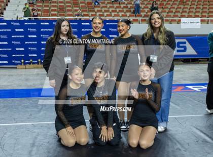 Thumbnail 1 in Globe (AIA Division IV Final) photogallery.