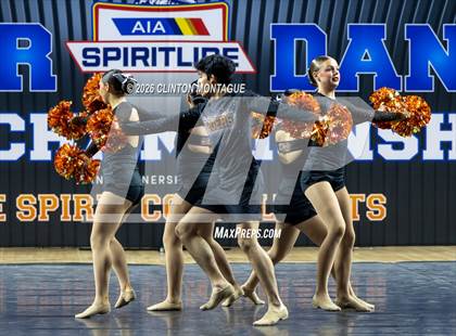 Thumbnail 3 in Globe (AIA Division IV Final) photogallery.