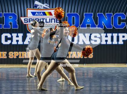 Thumbnail 1 in Globe (AIA Division IV Final) photogallery.