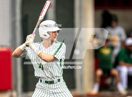 Thumbnail 1 in Cinco Ranch vs. Stratford (UIL Baseball 6A Region 3 Area Final)  photogallery.
