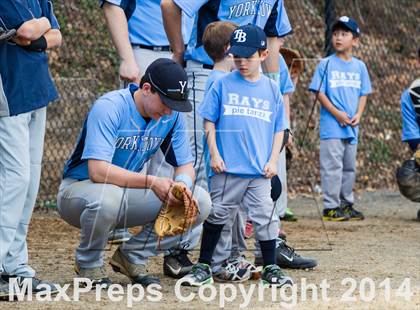 Thumbnail 3 in Washington-Lee @ Yorktown photogallery.