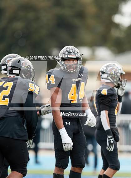 Thumbnail 2 in Stone Bridge vs. Highland Springs (VHSL Class 5 Championship) photogallery.
