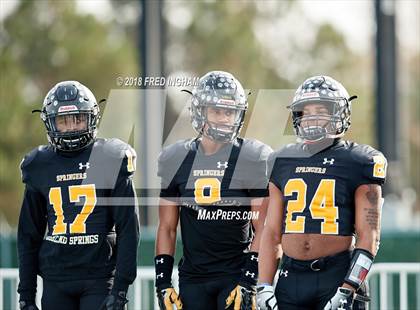 Thumbnail 2 in Stone Bridge vs. Highland Springs (VHSL Class 5 Championship) photogallery.