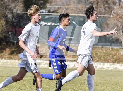 Thumbnail 3 in Alameda vs. Mullen (CHSAA 4A Round 1 Playoff) photogallery.