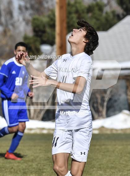 Thumbnail 1 in Alameda vs. Mullen (CHSAA 4A Round 1 Playoff) photogallery.