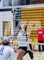 Photo from the gallery "Wapahani vs. Leo (Leo Invite)"