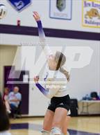 Photo from the gallery "Wapahani vs. Leo (Leo Invite)"