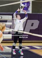 Photo from the gallery "Wapahani vs. Leo (Leo Invite)"