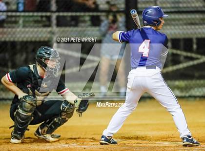 Thumbnail 3 in Manatee @ Palmetto photogallery.